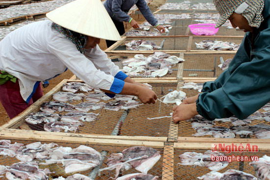 Trên địa bàn xã Quỳnh Lập có 6 cơ sở chế biến, hấp sấy hải sản xuất khẩu, góp phần tiêu thụ sản phẩm cho ngư dân đánh bắt xa bờ và tạo việc làm ổn định cho lao động trên bờ.