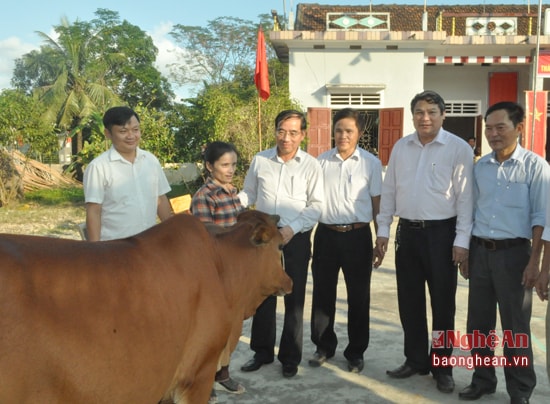 Lãnh đạo tỉnh, huyện và xã trồng cây đại đoàn kết và trao tặng bò cho hộ nghèo