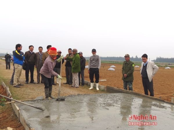 Đoàn công tác thực tế Trường Chính trị tham quan tình hình xây dựng đường giao thông nội đồngtại xã Diễn Thịnh (Diễn Châu).