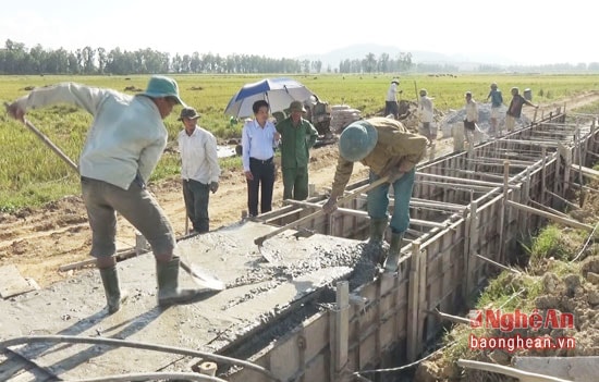 Thi công kếnh tưới tiêu ở xã Nghi Trung, Nghi Lộc