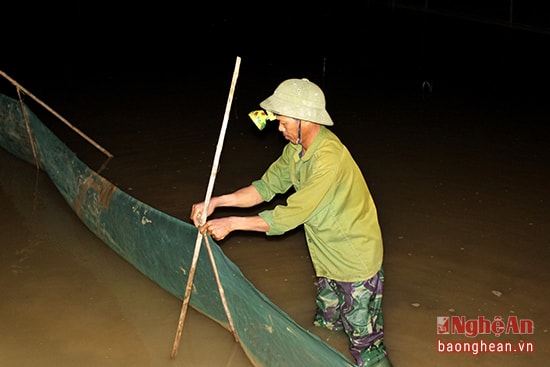 3.Trước kia, khi rươi chưa “có giá”, mọi người đi bắt rươi tự do, nay ruộng nhà nào, nhà đó bắt. Lưới có thể được giăng sẵn từ trước, khi nước sông dâng vào ruộng thì chỉ việc đi dém lưới để khỏi rươi ra.