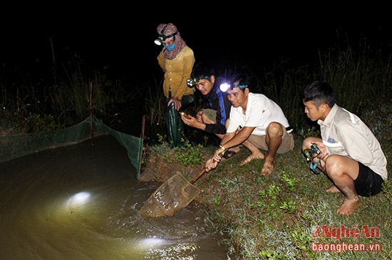 5.Sau khi đăng trủ, chủ nhân chỉ việc ngồi trên bờ chờ đợi nước ra, rươi sẽ chạy theo nước mà chui vào lưới.