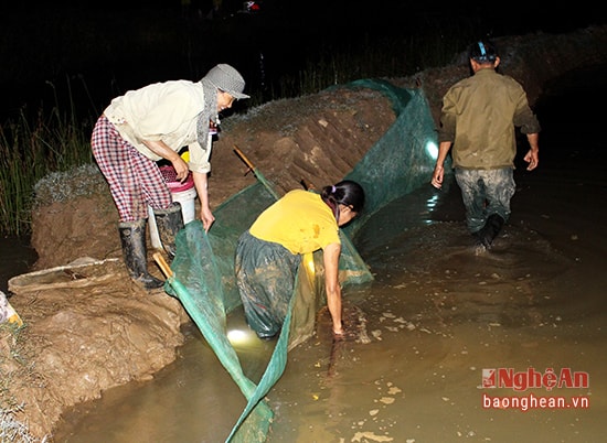 8.Cả nhà cùng theo dõi con nước lên, xuống để bắt rươi