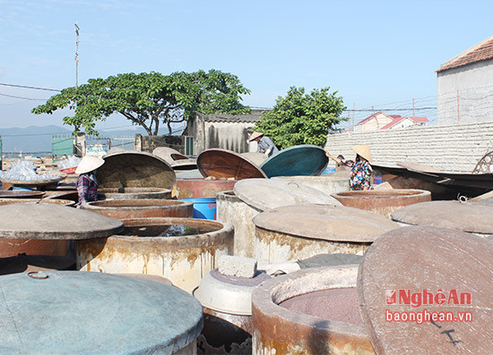 Tranh thủ nắng lên, bà con làng nghề nước mắm Phú Lợi phơi các chượp ủ.