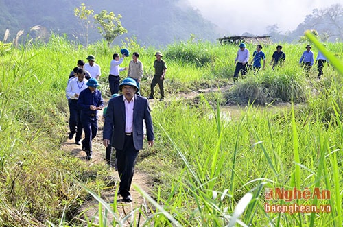 Chủ tịch UBND tỉnh Nguyễn Xuân Đường kiểm tra mô hình trồng cỏ nuôi trâu, bò vỗ béo của tại xã Mường Lống, huyện Kỳ Sơn.