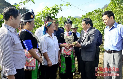 Chủ tịch UBND tỉnh Nguyễn Xuân Đường khuyến khích nhân dân xã Mường Lống nhân rộng mô hình chăn leo và khẳng định tỉnh có chính sách hỗ trợ cho bà con.