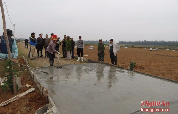 Đoàn công tác thực tế Trường Chính trị thăm quan tình hình xây dựng đường giao thông nội đồng tại xã Diễn Thịnh (Diễn Châu).