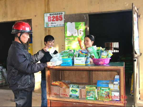 Hợp tác xã nông nghiệp Giang Sơn Đông (Đô Lương) cung ứng thuốc bảo vệ thực vật cho xã viên.Ảnh: Q.L