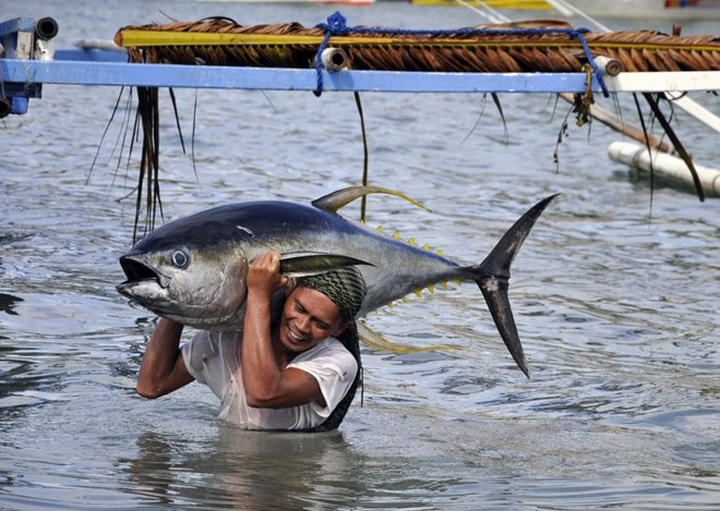 Ngư dân Philippines. (Ảnh chỉ mang tính minh họa: thecoraltriangle.com)