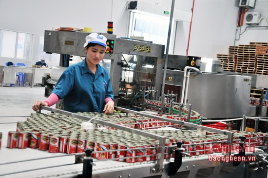Dây chuyền đóng hộp sản phẩm của Công ty TNHH Royal Foods Nghệ An.