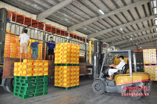 Bốc dỡ hàng tại Nhà máy bia Hà Nội - Nghệ An
