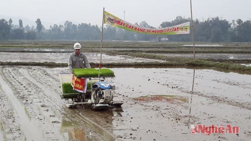 Trình diễn máy cấy tại xã Hưng Thắng ( Hưng Nguyên)