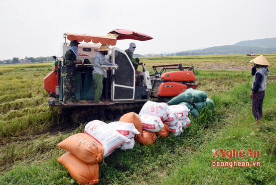 Cơ giới hóa nông nghiệp sau khi chuyển đổi ruộng đất ở Nghệ An.