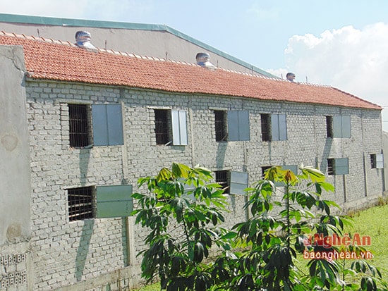Trang trại gà chị Hải xây dựng hai tầng có hệ thống năng lượng mặt trời hỗ trợ diệt khuẩn và xử lý mùi hôi