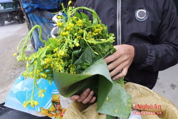 Cải ngồng Kỳ Sơn xanh, tươi, giòn và ngọt có giá từ 25.000 - 30.000 đồng/kg.