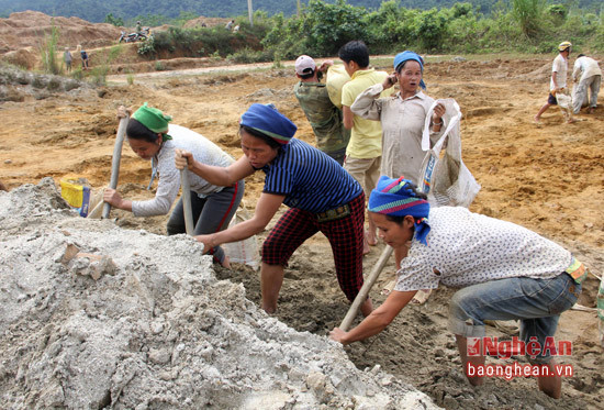 Những người mót quặng dùng xuổng xúc, lựa đất từ trên núi thuộc bản Tà Pàn xã Tri Lễ, huyện Quế Phong để tìm quặng.