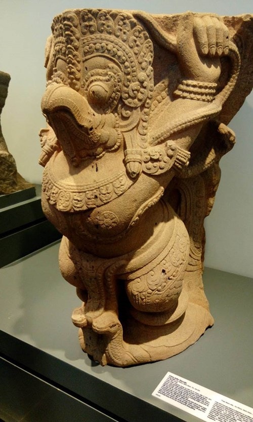 Chim thần Garuda.