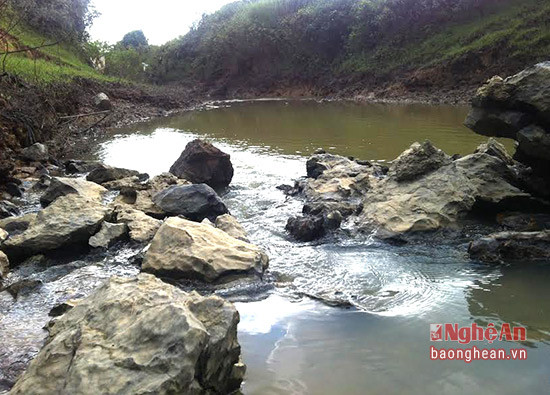 Ốc bươu đen ở các khe suối ở xã Hồng Sơn khi chế biến có vị ngon riêng biệt và giòn hơn ốc nơi khác. 