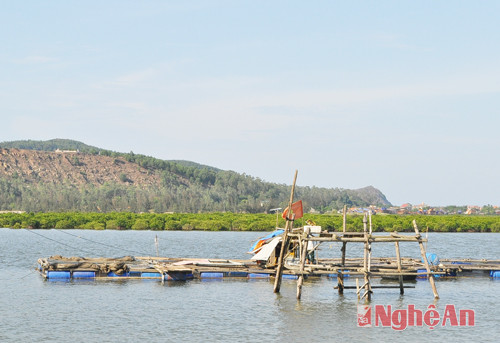 Nuôi lồng cá bè ở Nghi Quang, Nghi Lộc, ảnh tư liệu.