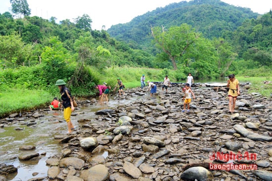 Những lúc rảnh rỗi việc học hành, nhiều trẻ em vùng cao xứ Nghệ lại theo người lớn ra suối kiếm cá, nòng nọc về cải thiện bữa ăn hàng ngày.