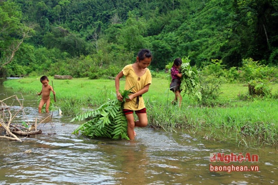 Tuy tuổi đời còn nhỏ nhưng các em đã rất thành thạo trong việc làm còn (ngăn dòng nước, đập lá cơi) để đánh bắt cá.