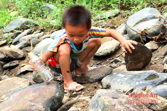 Bới từng hòn đá để kiếm những con cá nhỏ hay nòng nọc ẩn nấp trong đó.