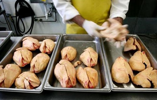 Họa mi, gan ngỗng - thú ẩm thực xa hoa và tàn nhẫn của giới nhà giàu