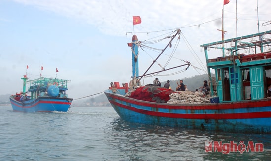 Tàu cá ở cảng cá Lạch Quèn, ảnh tư liệu
