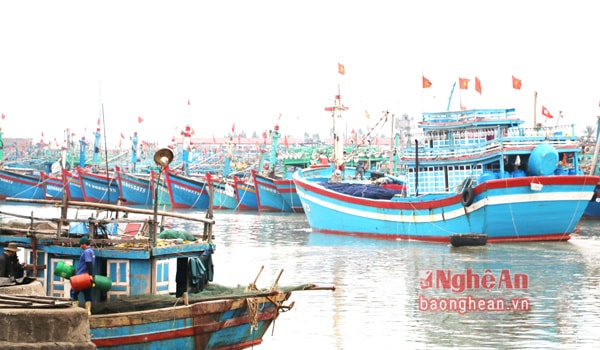 Những con tàu chờ ra khơi,ảnh tư liệu