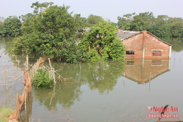 Nhiều ngôi nhà nằm cạnh đê Tả Lam thuộc xóm 7 xã Hưng Lợi ngập sâu trong nước trong đợt mưa lũ vừa qua. Ảnh tư liệu