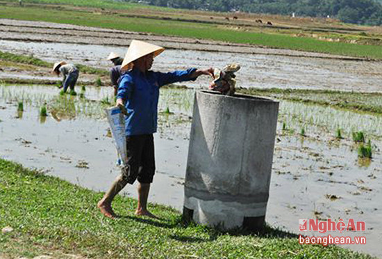 Thùng đựng rác thải được đặt trên cánh đồng xã Thanh Liên (Thanh Chương).