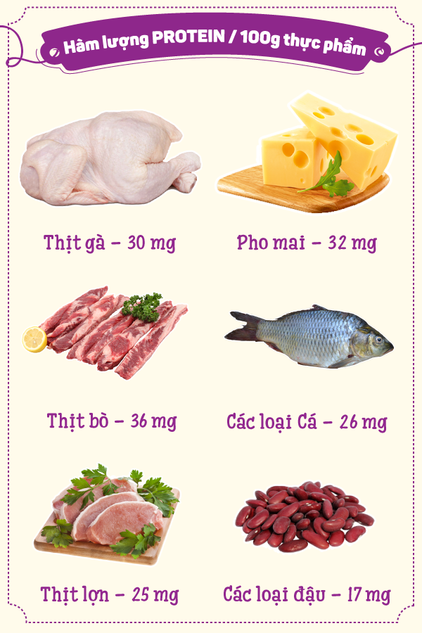 Hàm lượng protein trong mỗi 100g thực phẩm.