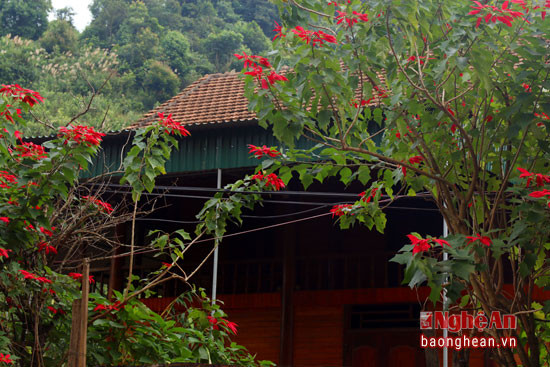 Cổng nhà tràn sắc hoa.