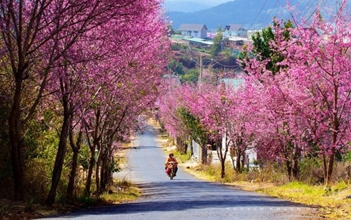 5-diem-den-cho-ky-nghi-tet-duong-lich-sap-toi