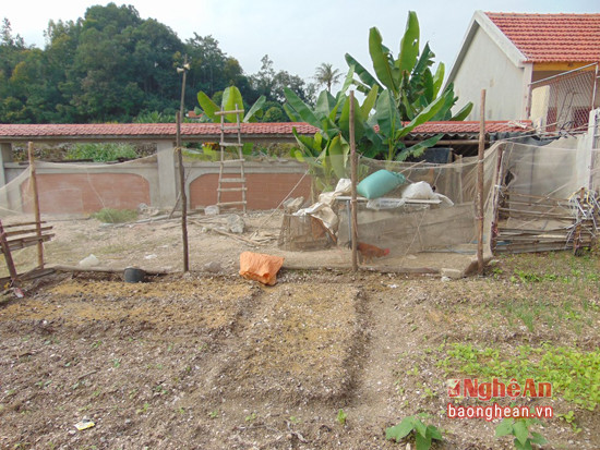 Người dân vô tư nuôi gà, trồng rau trong khuôn viên khi di chỉ khảo cổ.