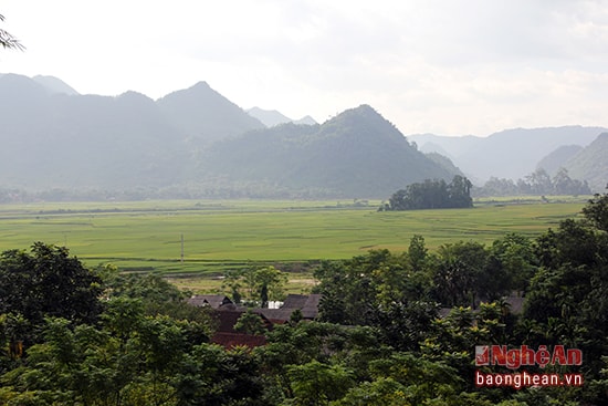 Một góc cánh đồng xã Quang Phong.