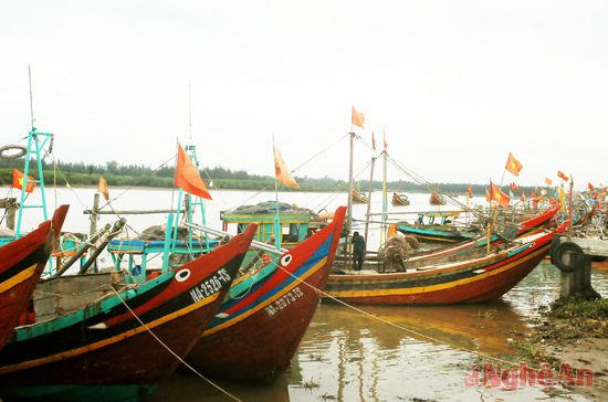 Cảng cá Lạch Vạn, Diễn Ngọc.