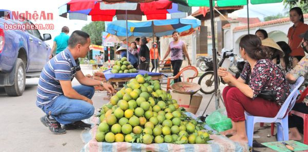 Cam được bày bán tại ngã 3 Săng Lẻ (Quỳ Hợp)