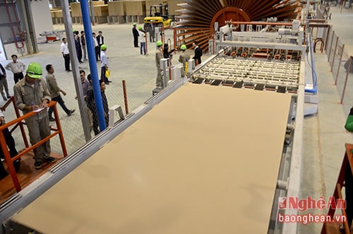 Sản xuất tại Nhà máy chế biến gỗ Nghệ An, huyện Nghĩa Đàn.