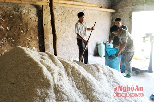 Mặc dù giá muối không cao nhưng diêm dân vẫn bám ô nại để sản xuất