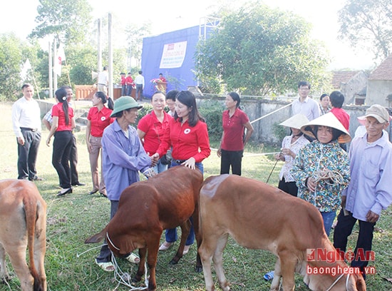 Trong 9 thực hiện dự án tại Nghệ An Ngân hàng bò hỗ trợ hộ nghèo đã tăng lên trên 14 nghìn con, giúp các hộ nghèo điều kiện sản xuất, phát triển kinh tế.