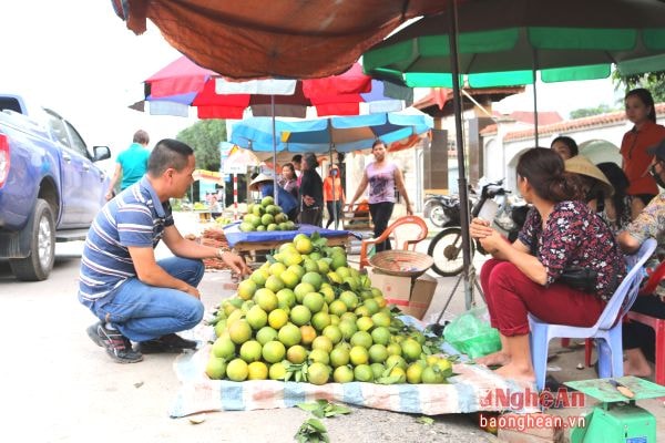 Cam được bày bán tại ngã 3 Săng Lẻ (Quỳ Hợp).