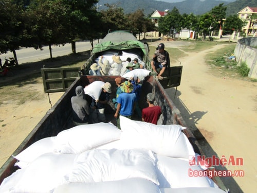 Vận chuyển gạo cấp phát cho người dân
