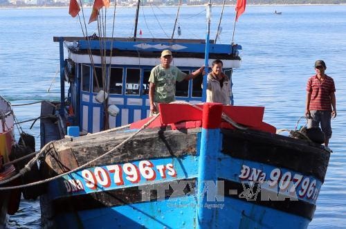 Thuyền viên làm việc trên tàu lai dắt phải đáp ứng đầy đủ các tiêu chuẩn về chuyên môn, tiêu chuẩn về sức khỏe và được cấp chứng chỉ chuyên môn theo quy định. Ảnh: Trần Lê Lâm - TTXVN