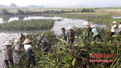 Khơi thông tại  hồ chứa khơi thông cho 20 ha lúa.