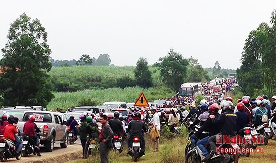 Đường Hồ Chí Minh tắc nghẽn do quá nhiều du khách về ngắm cánh đồng hoa hướng dương năm 2015.