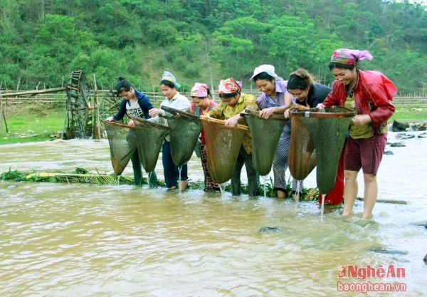 Bà con đồng bào Thái xúc cá trên dòng Chà Hạ, đoạn đi qua xã Yên Na.