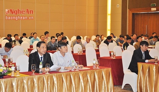 Các đại biểu tham dự hội nghị.
