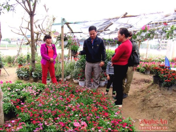 Một số chủ cửa hàng ở Nghi Liên đã nhập hoa Tết về bán.