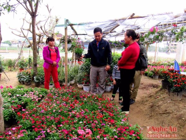 Chị Phan Thị Ngọc Tuyết, Diễn Kỷ chăm sóc hoa cúc vạn thọ.